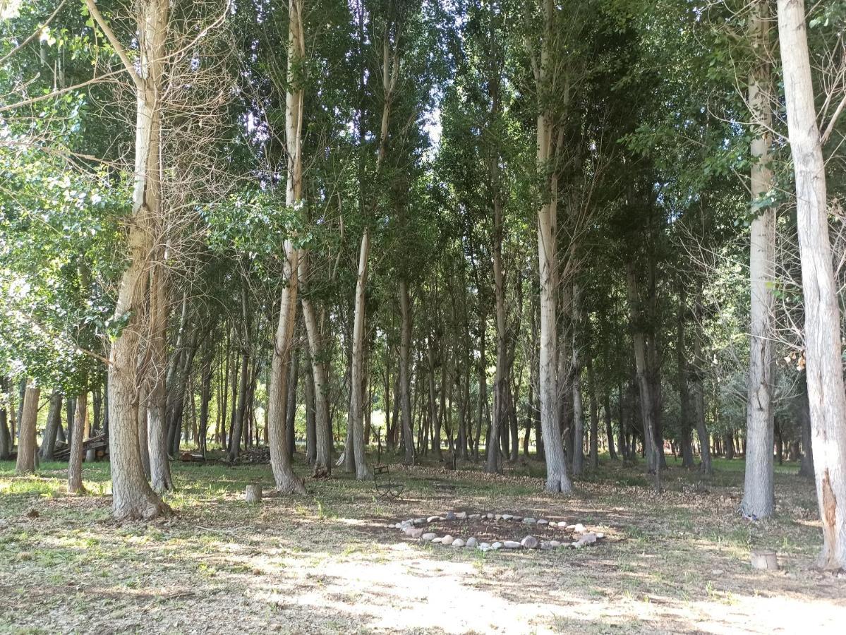 Cabana Ecologica Uspallata Esterno foto